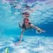 Set of 4 Vibrantly Colored Dive Ring Swimming Pool Toys 5.75"
